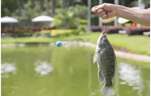 Pesca Deportiva en Manizales | livecaldas.com