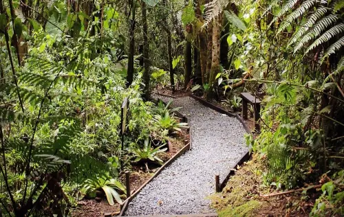 Eco Termales El Otoño, Manizales | livecaldas.com