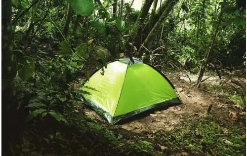 Camping Paraíso Verde, Manizales | livecaldas.com