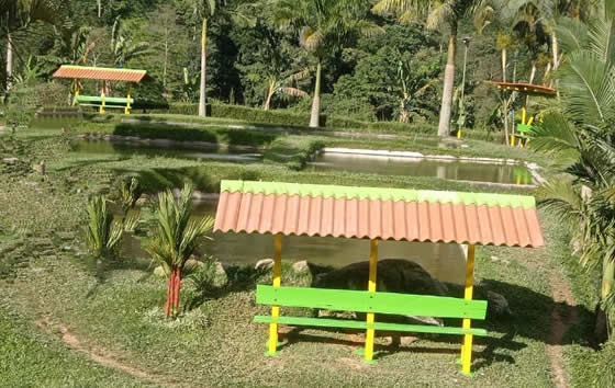 Pesca Deportiva El Topacio | livecaldas.com